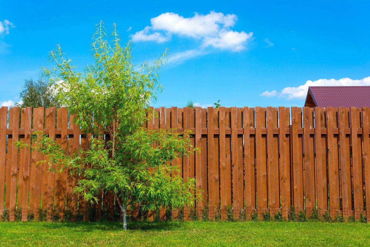 Alpha Fencing Quality Work